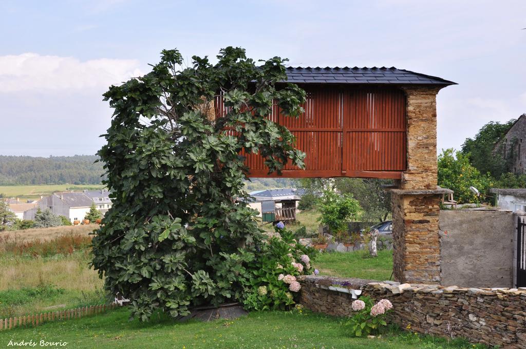 Apartamentos A Palleira Barreiros Buitenkant foto